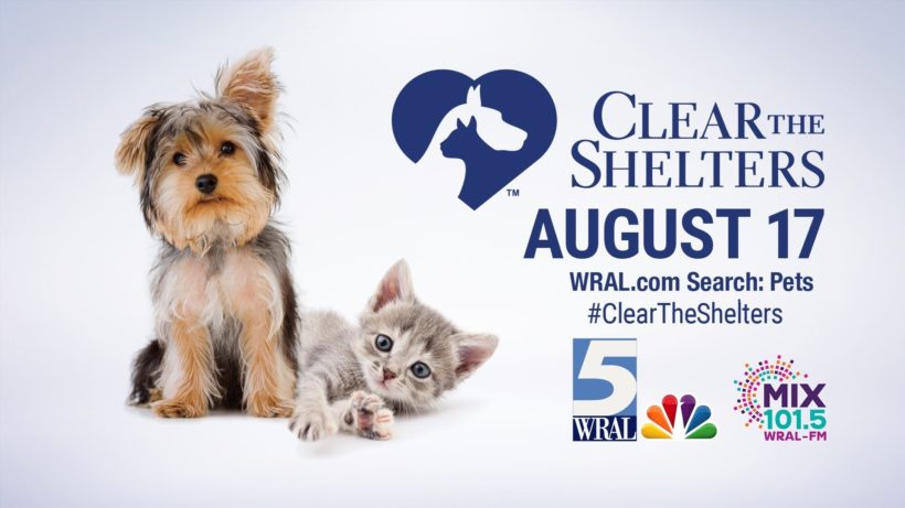 Clear the Shelter